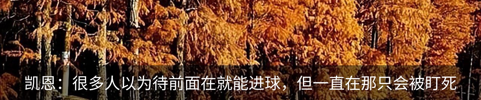 行业资讯