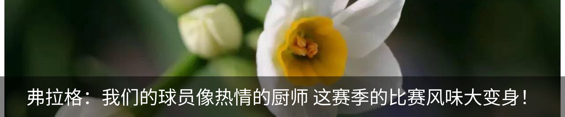 行业资讯