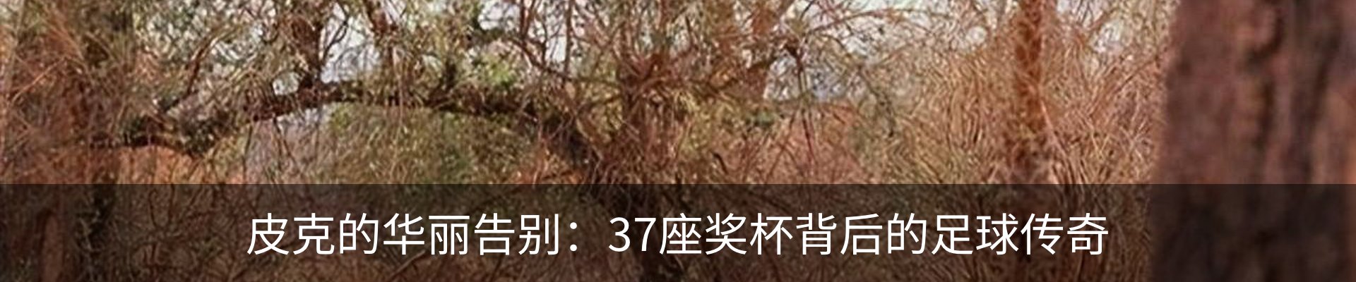 行业资讯